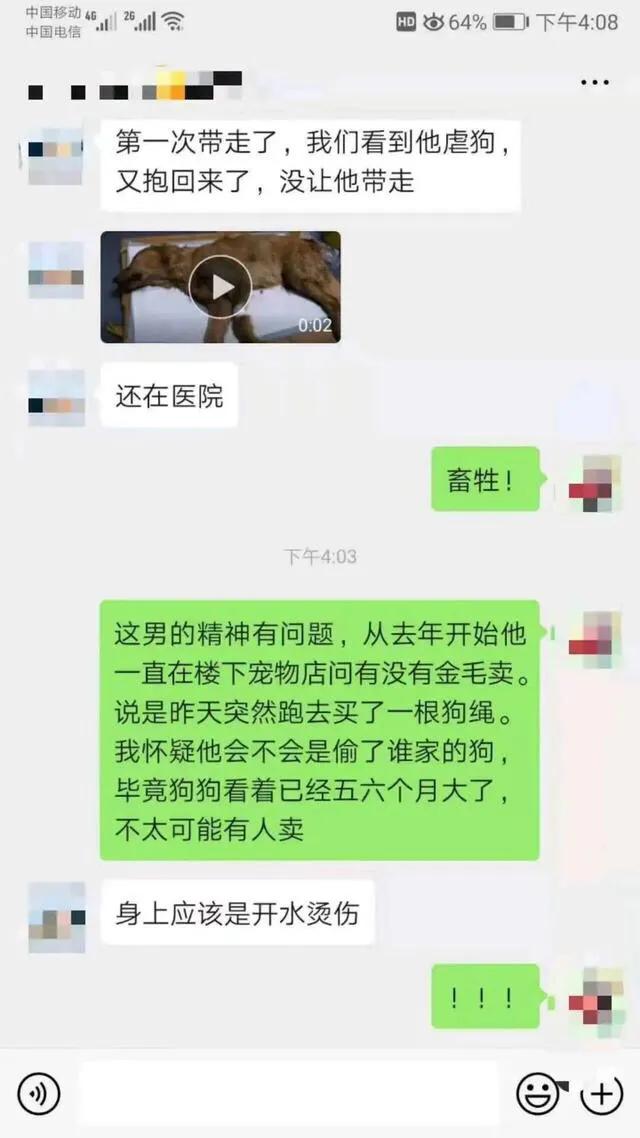 金毛被男子疯狂虐待，志愿者被威胁报复，有些人内心到底有多黑暗