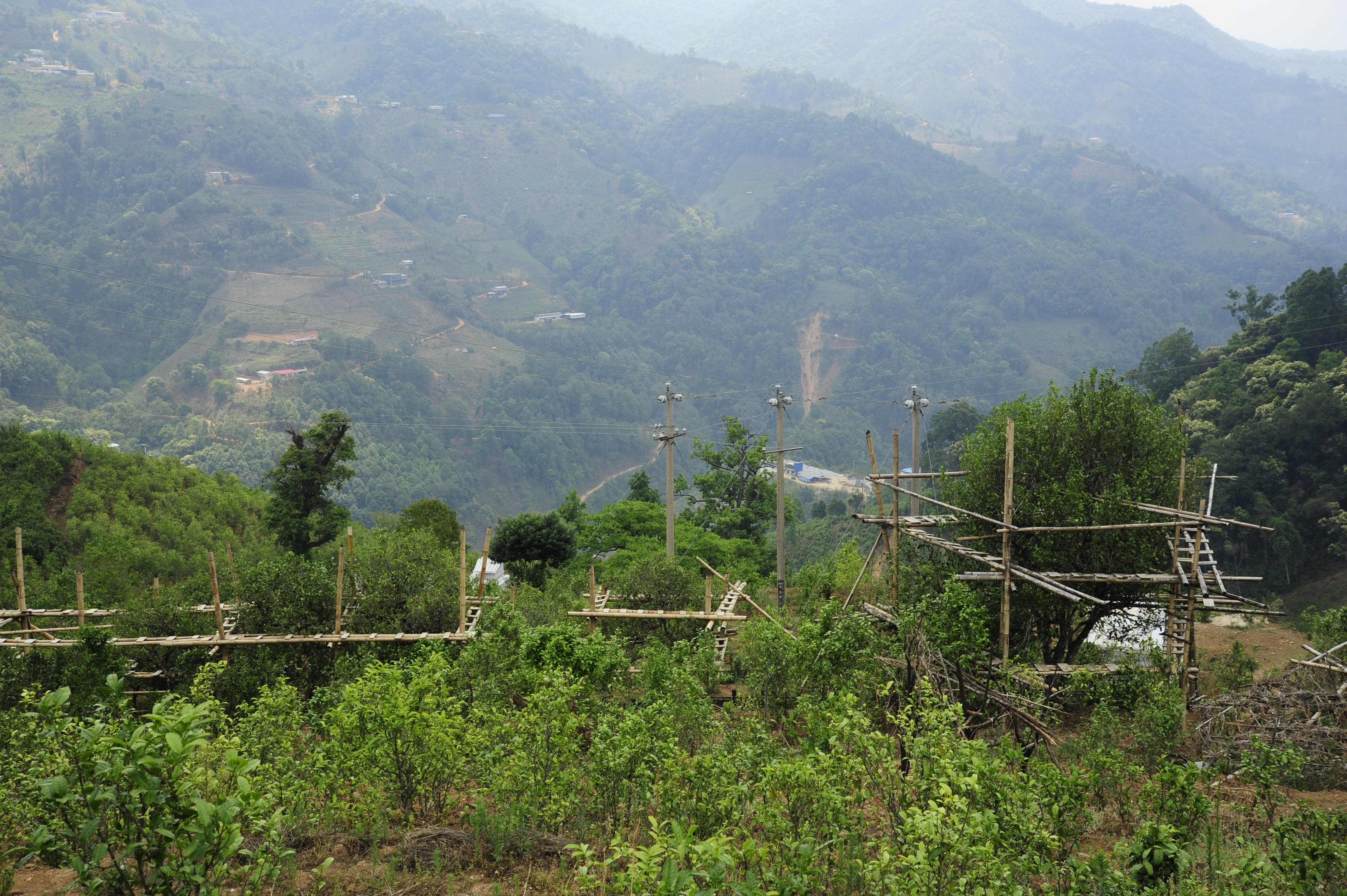 喝茶这件事完整版,喝茶这件事