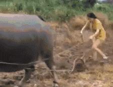 搞笑gif图原谅我不厚道的笑了,搞笑gif段子实在是猝不及防啊