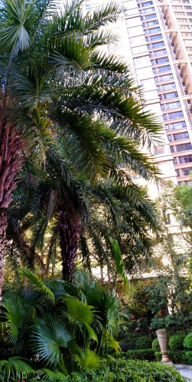 传说中的金沙,金沙世纪城最好小区