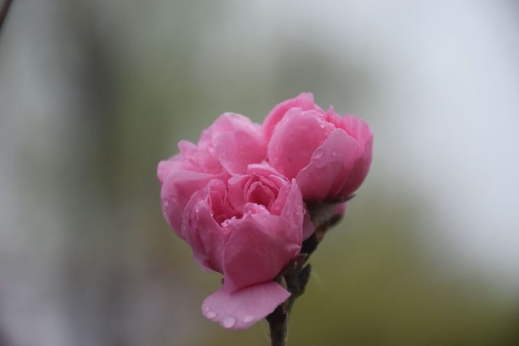 陕西印象装饰有限公司,陕西印象传媒怎么样