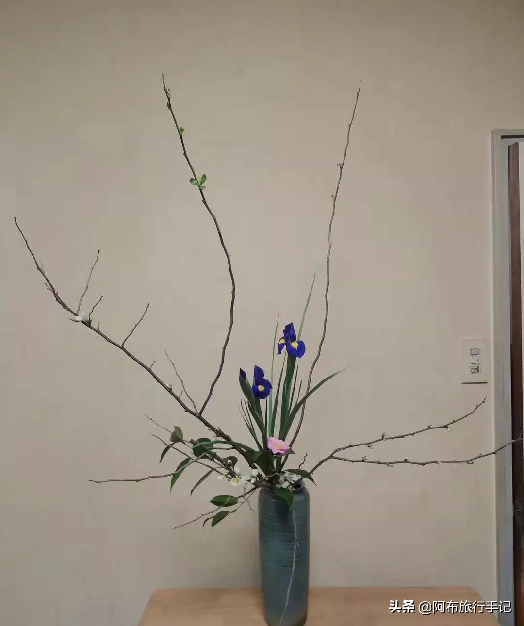 极简日语生存指南：日本旅行想收获更多，会这几句有用