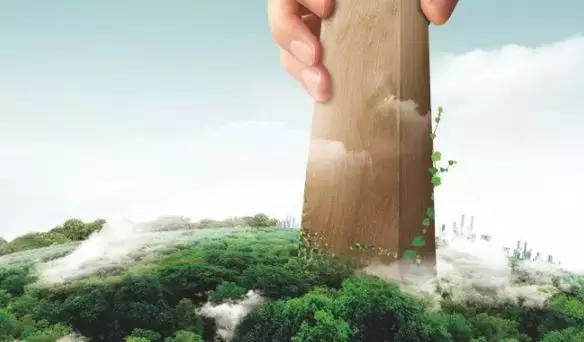 莫干山板材与大王椰板材哪个好,大王椰板材与莫干山的甲醛对比