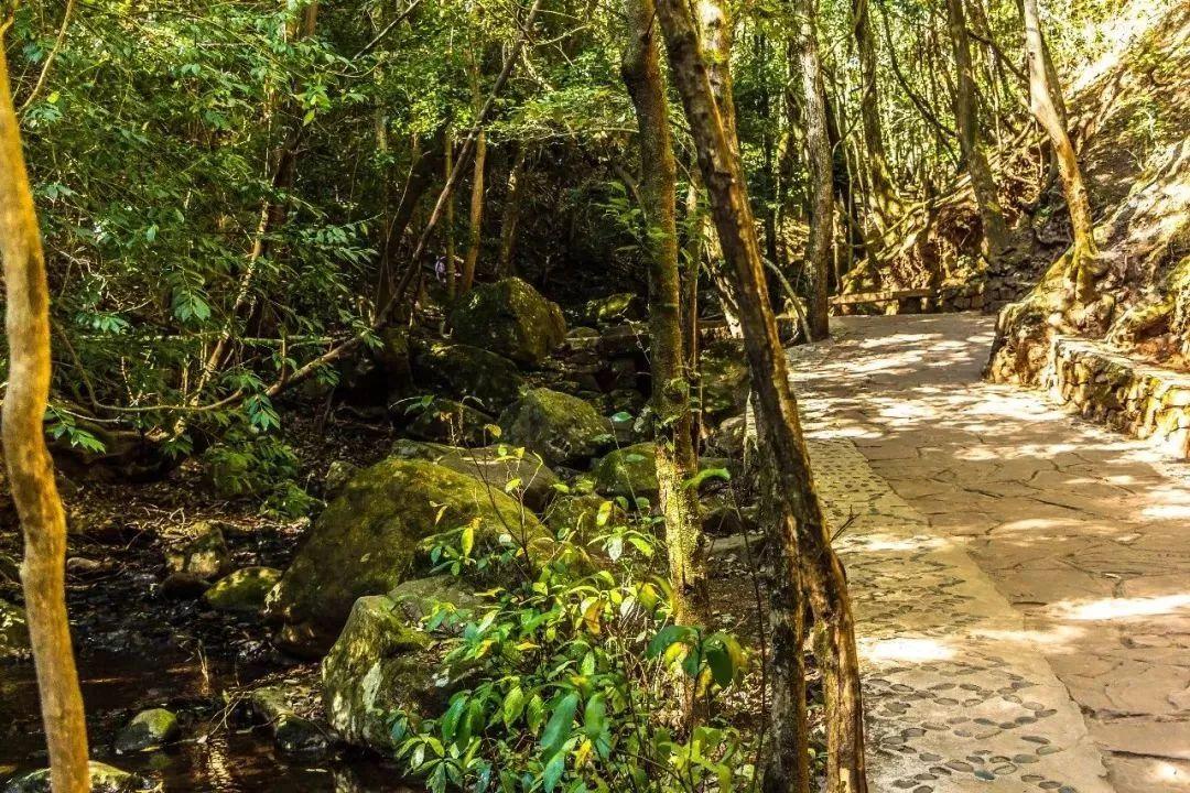 昆明周边好玩的地方青龙峡推荐,昆明青龙峡景区