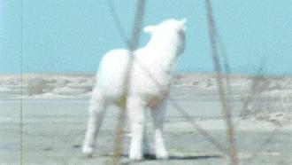 你家小区是什么档次,看懂楼盘的精装标准