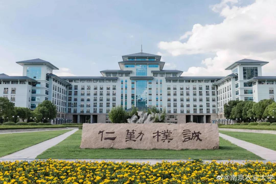 中国研究生院排名榜,全国研究生院校排行榜前十名名单