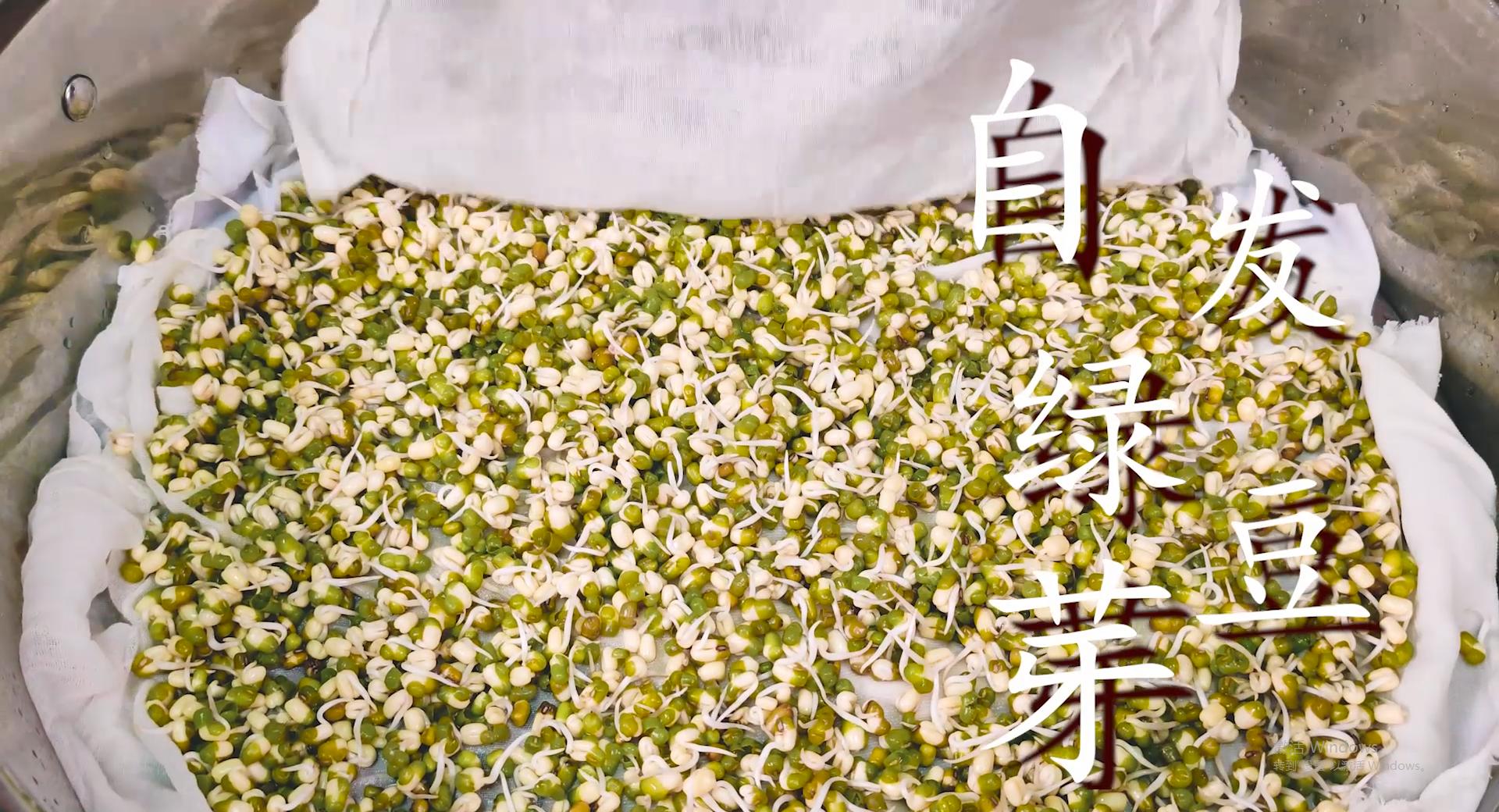 绿豆芽怎么发最快又好又粗的技巧,在家发绿豆芽最简单的方法