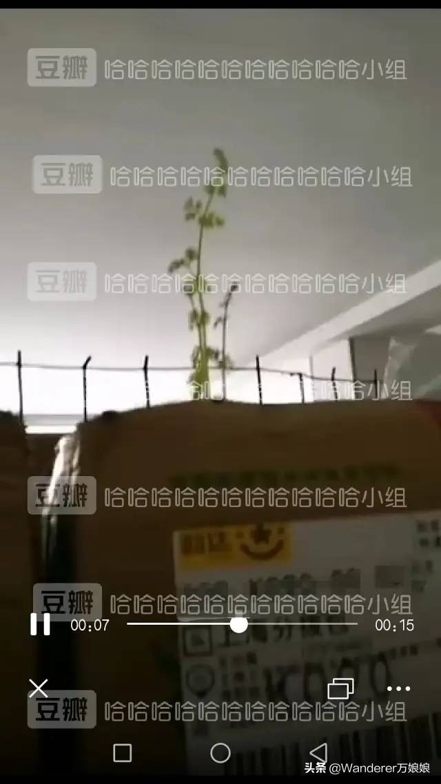 我收的不是快递，是笑话哈哈哈哈哈