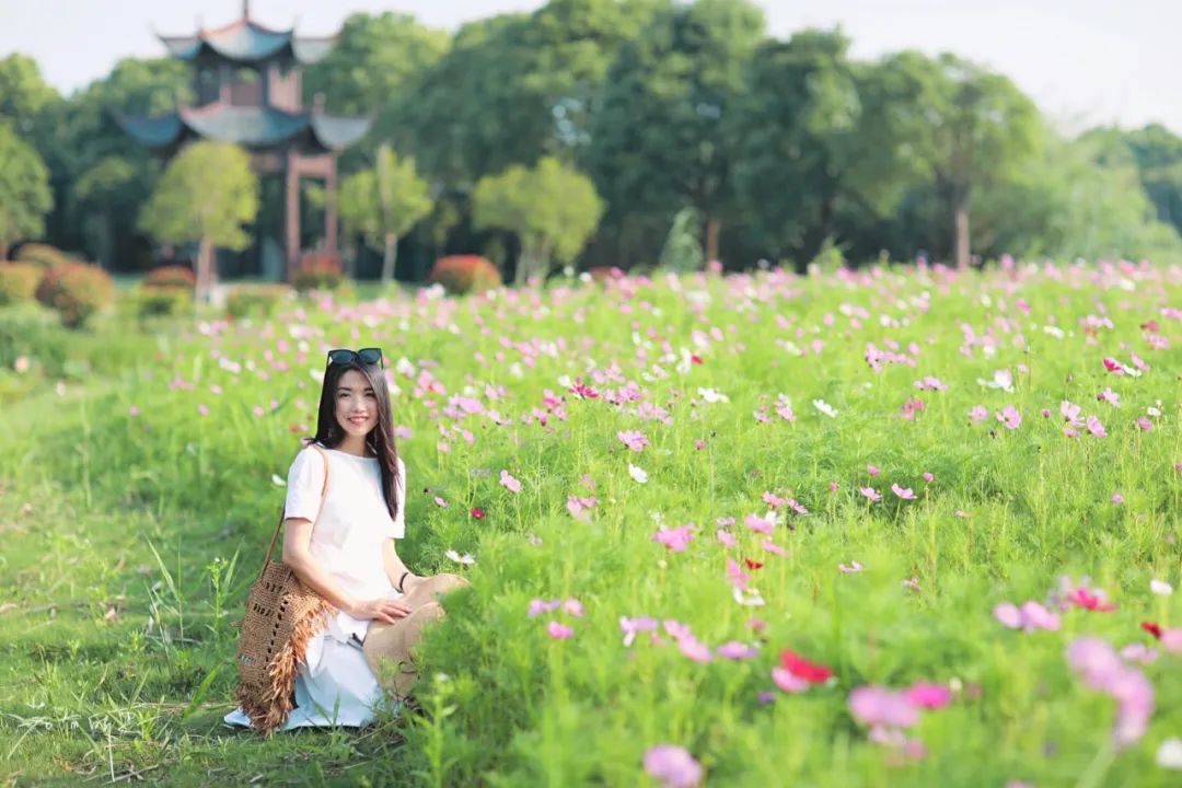 娌欏娴滈鏅尯鑺辨捣,娌欏娴滅殑绱壊鑺辨捣