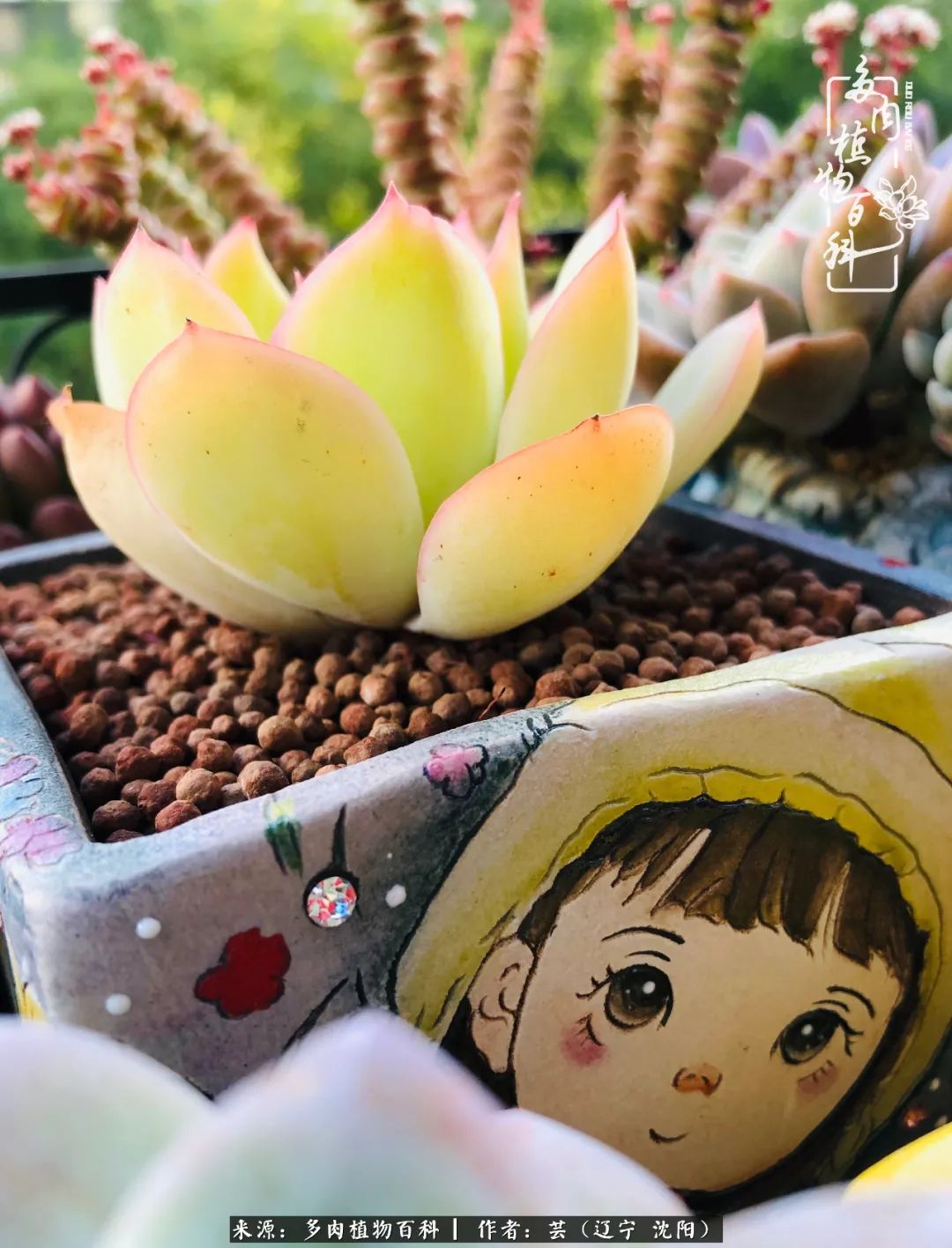 万物皆有灵性有因必有果,万物皆有灵性与生命