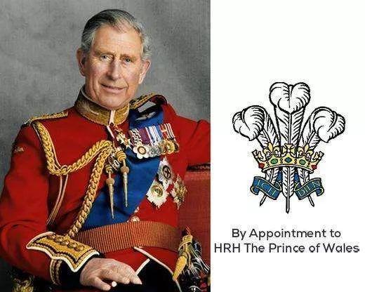 英国皇家蝴蝶胸针,威尔士羽毛胸针