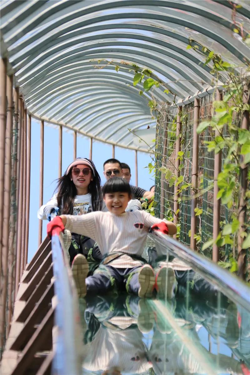 抱犊崮风景区高考门票免费,抱犊崮门票半价政策