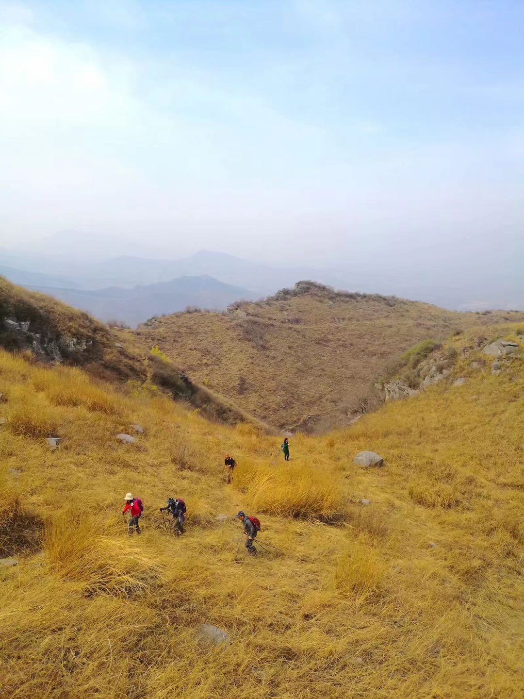 郑州最近山顶草原,离郑州自驾最近的大草原有哪些