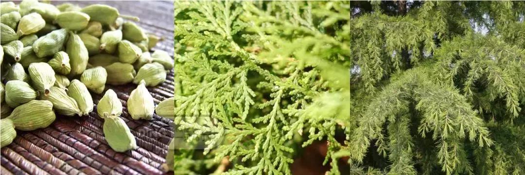 香水搭配的基本知识,香水潮流搭配