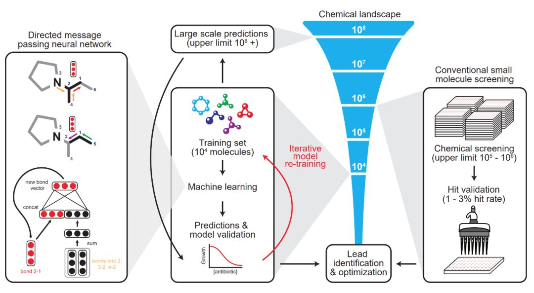 人类第一次用显微镜发现病毒,人工智能发现抗生素