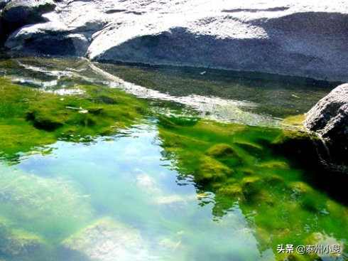 溪流纵横山河终向海,沟壑纵横自然景观