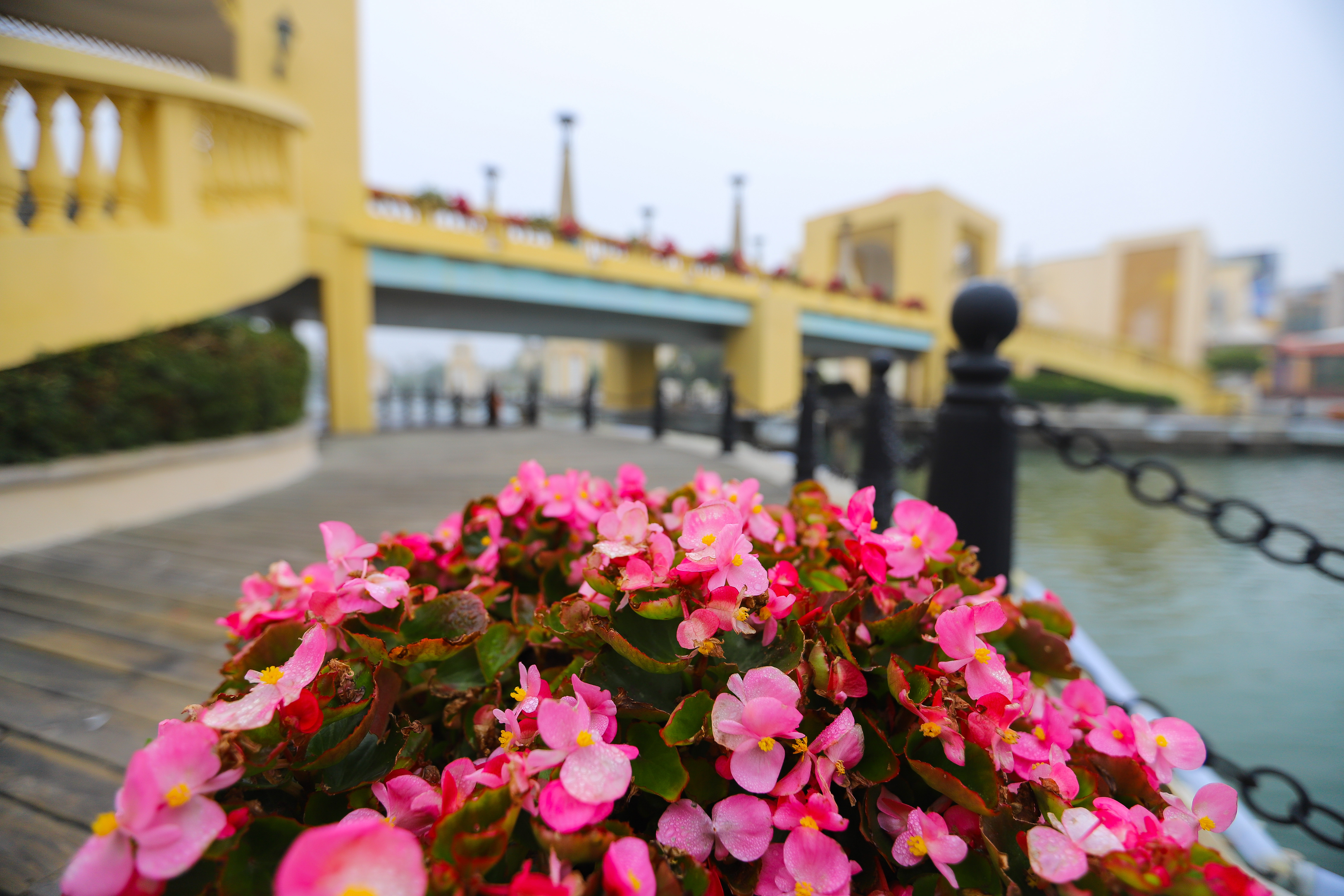 珠海海泉湾温泉公交车路线,珠海海泉湾和御温泉哪个好