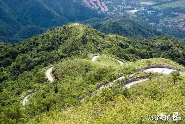 甯備簳椋庢儏杩樻槸甯備簳椋庡厜,甯備簳姘旀伅椋庢櫙