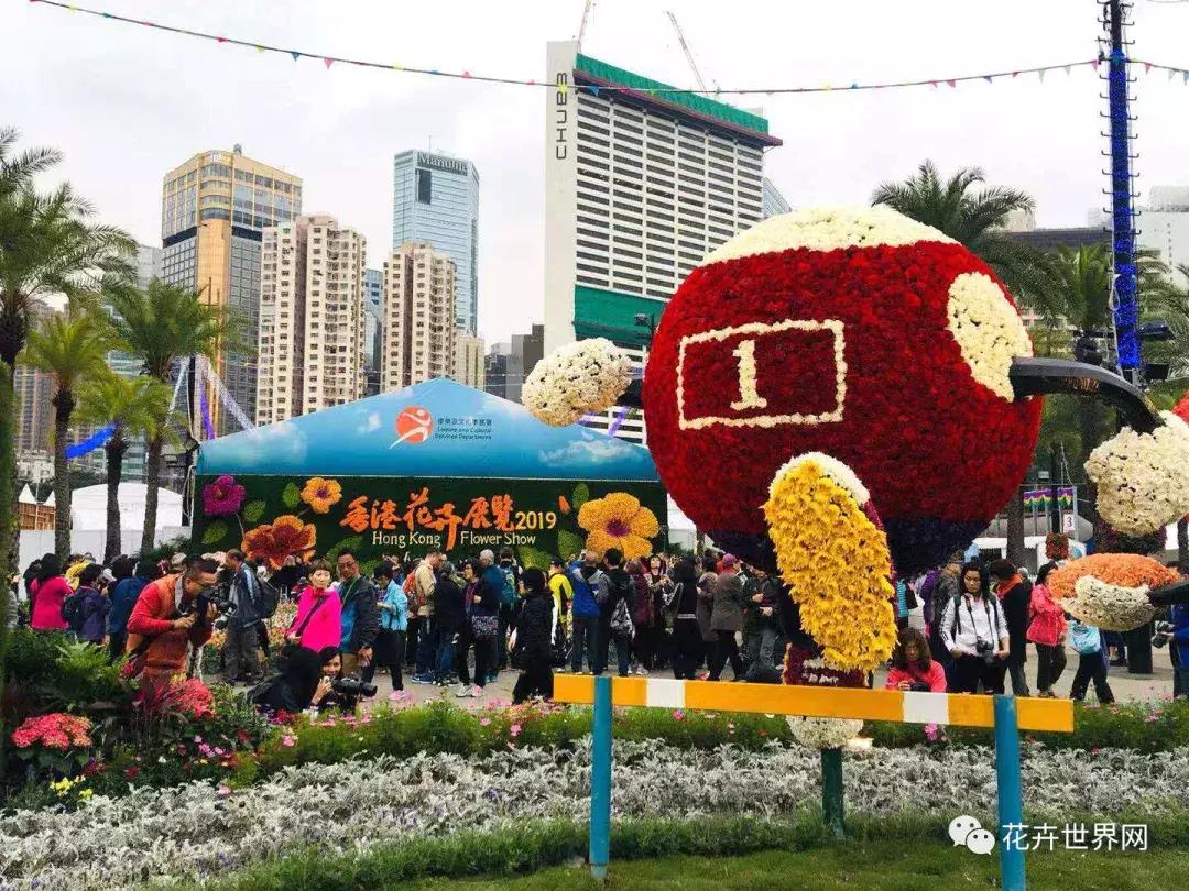 香港花卉艺术展,共赴盛会活动