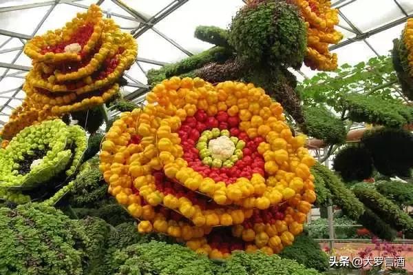 寿光水培蔬菜,中国蔬菜之都寿光照片