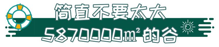 人少还免门票！深圳这片5000000㎡新公园美翻了，“神仙花谷”