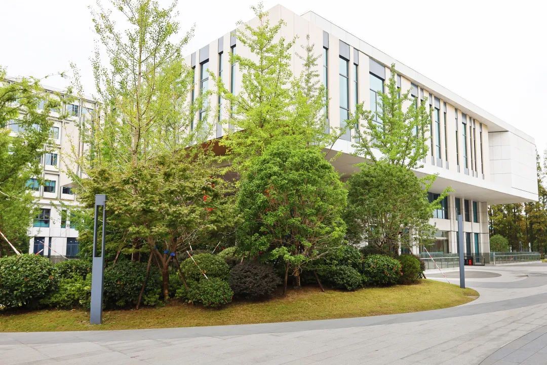 沪上“花园式”工地办公是怎样的体验?来看看这个白玉兰奖工程吧