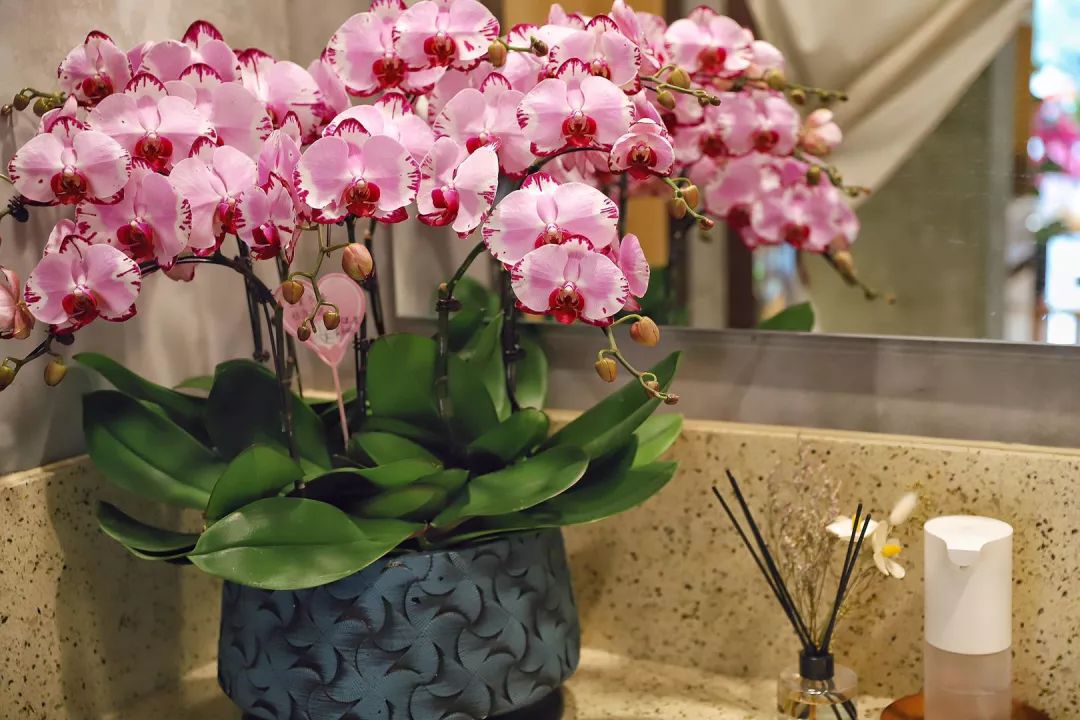 鍕ゅ璺簵,鍕ゅ璺笂