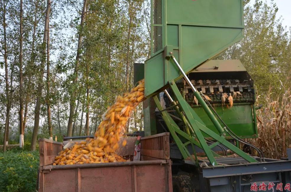 来赴一场雪乡长白山之约,来赴一场冬日的黄金之约