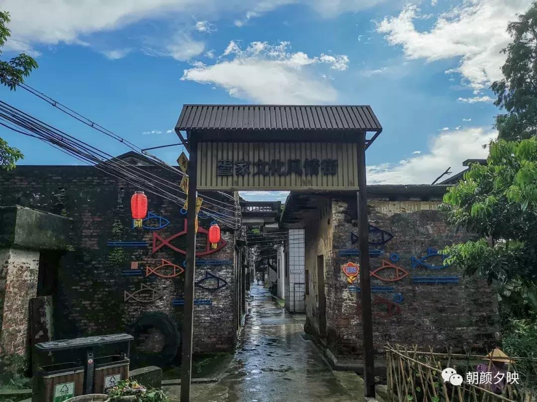 新会石板沙最好的地方,江门石板沙村旅游介绍