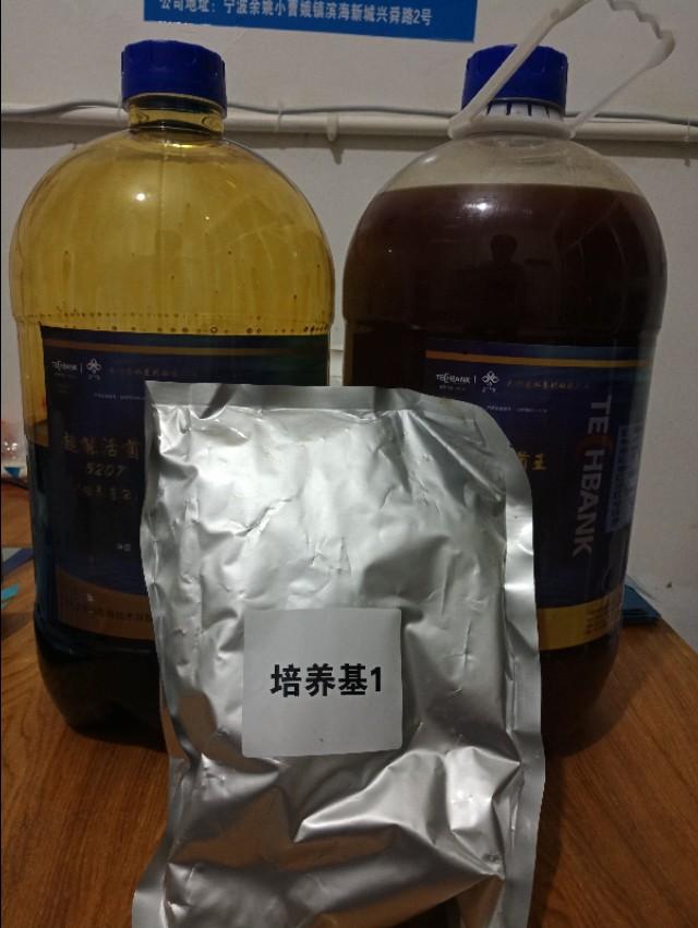 池塘高温最容易起蓝藻怎么预防,高温天气虾塘如何处理青苔