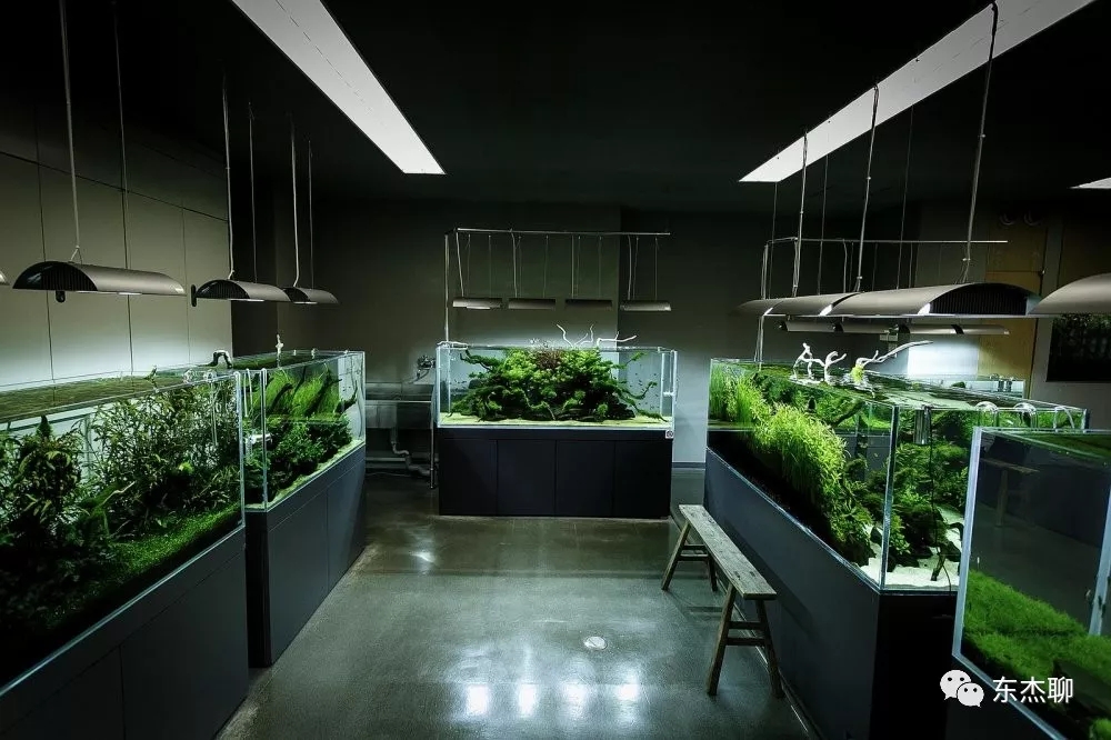 养珊瑚缸最佳过滤材料有几种,珊瑚海缸过滤