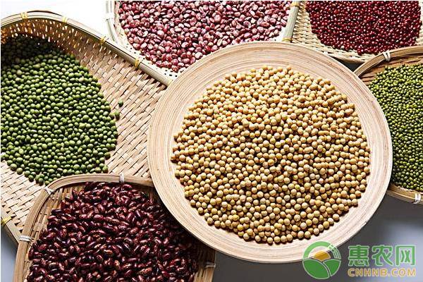 五谷米是哪五种米,五谷米的营养价值及功效