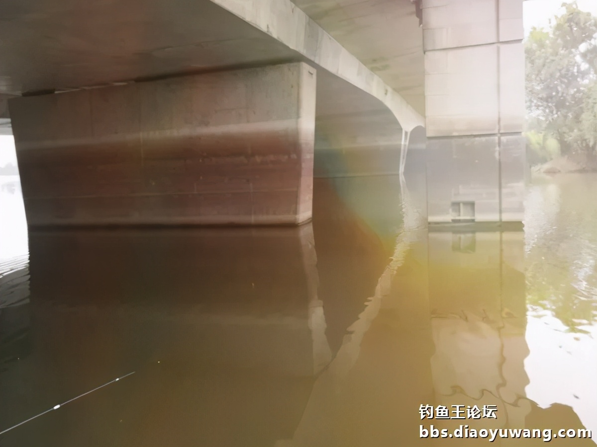 疯钓鲫搭配,疯钓鲫本味单开效果怎么样