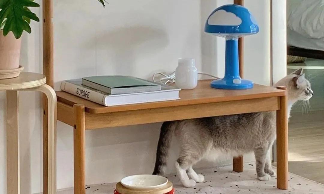 我为什么建议你留在北上广,我为什么劝你去大城市