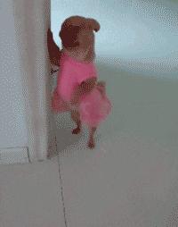 小姐姐晒自己的照片,小姐姐晒自己的图片