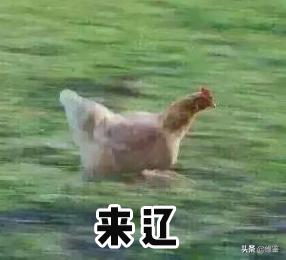 夏天水乳混油皮,混油皮夏天水乳推荐平价