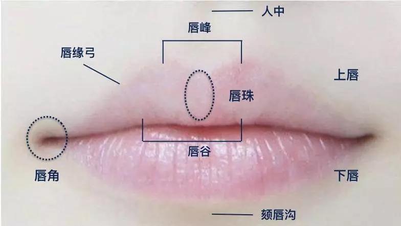 不规则唇形怎么画口红,不同唇形画唇的技巧和方法