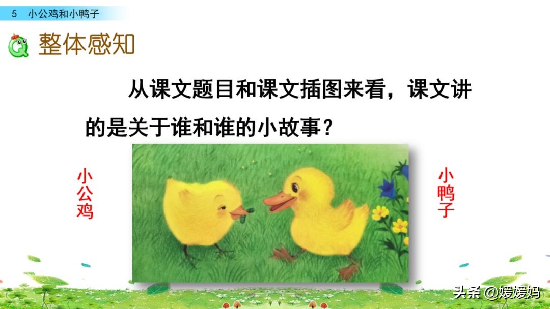 一年级小公鸡和小鸭子仿写句子,一年级小公鸡和小鸭子的看图写话