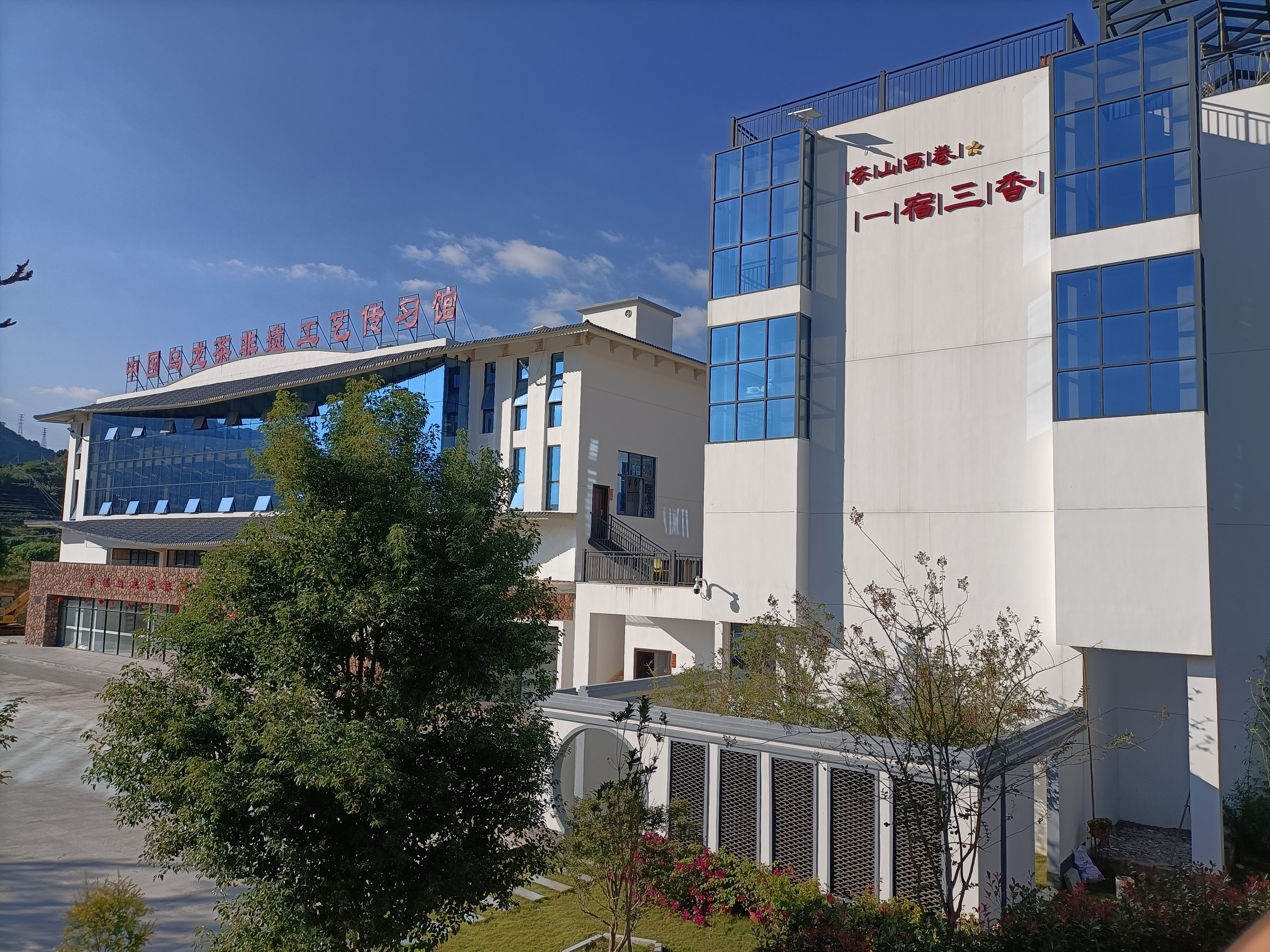 安溪县六大名茶,安溪铁观音爆款榜