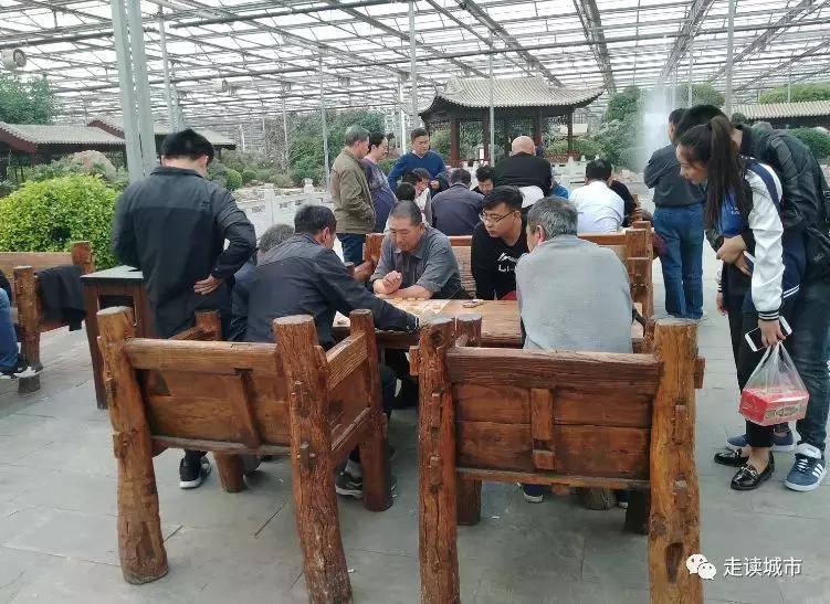 走读城市之廊坊安次（八）：九天休闲谷