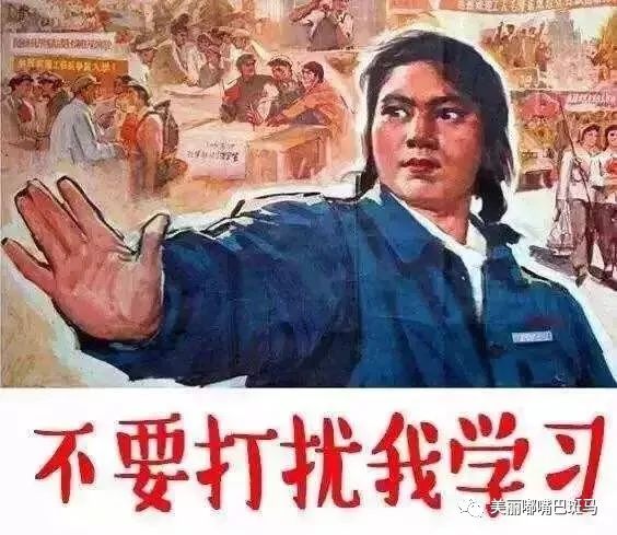 上海体制内3岁男孩妈妈读了两个在职研究生，是有多疯狂？