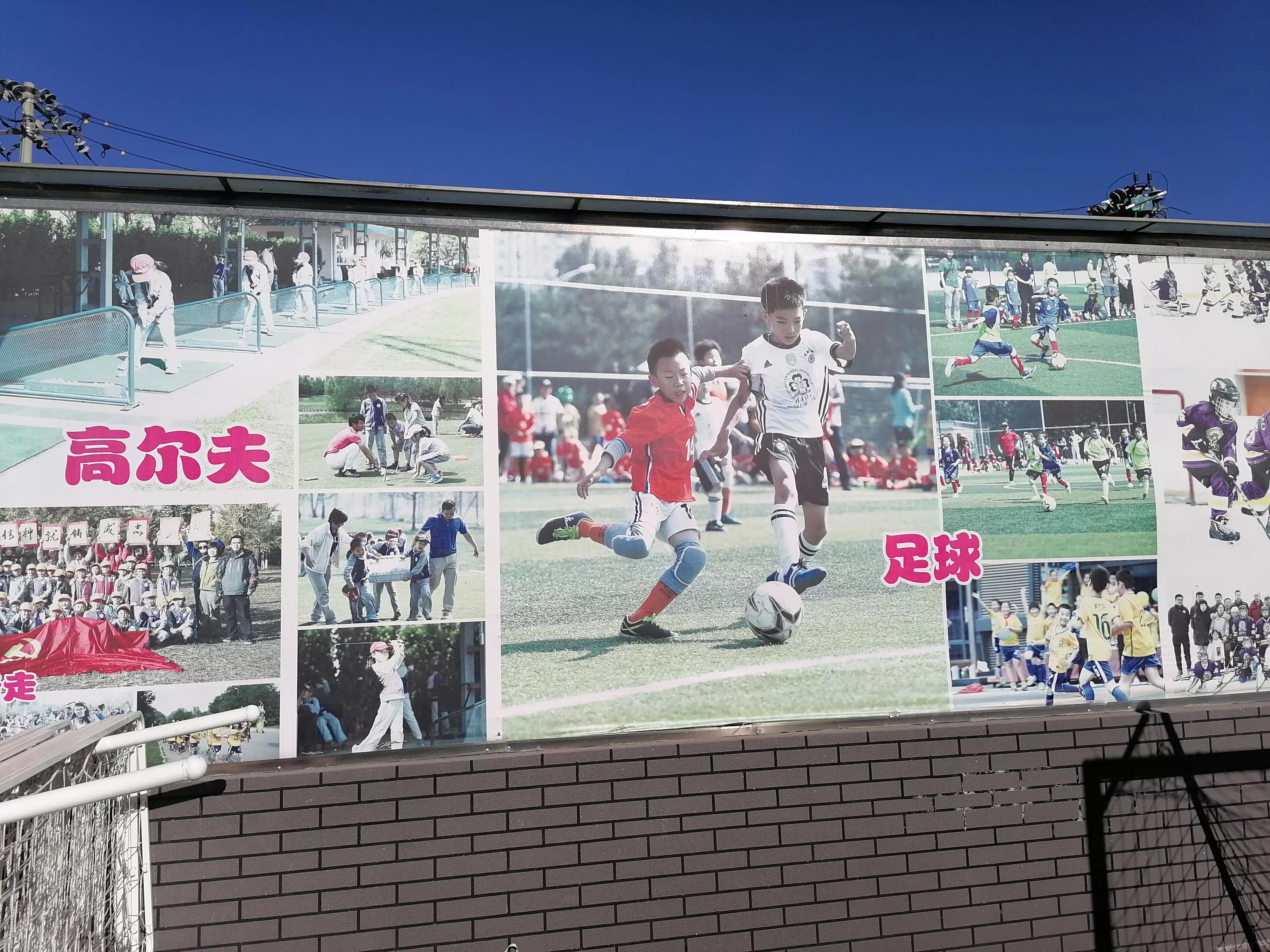 体育运动的价值和意义,体育运动的价值取向