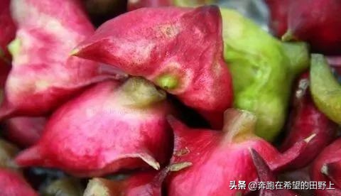 这些暗号你能猜对几个,这些暗号你能答对几个