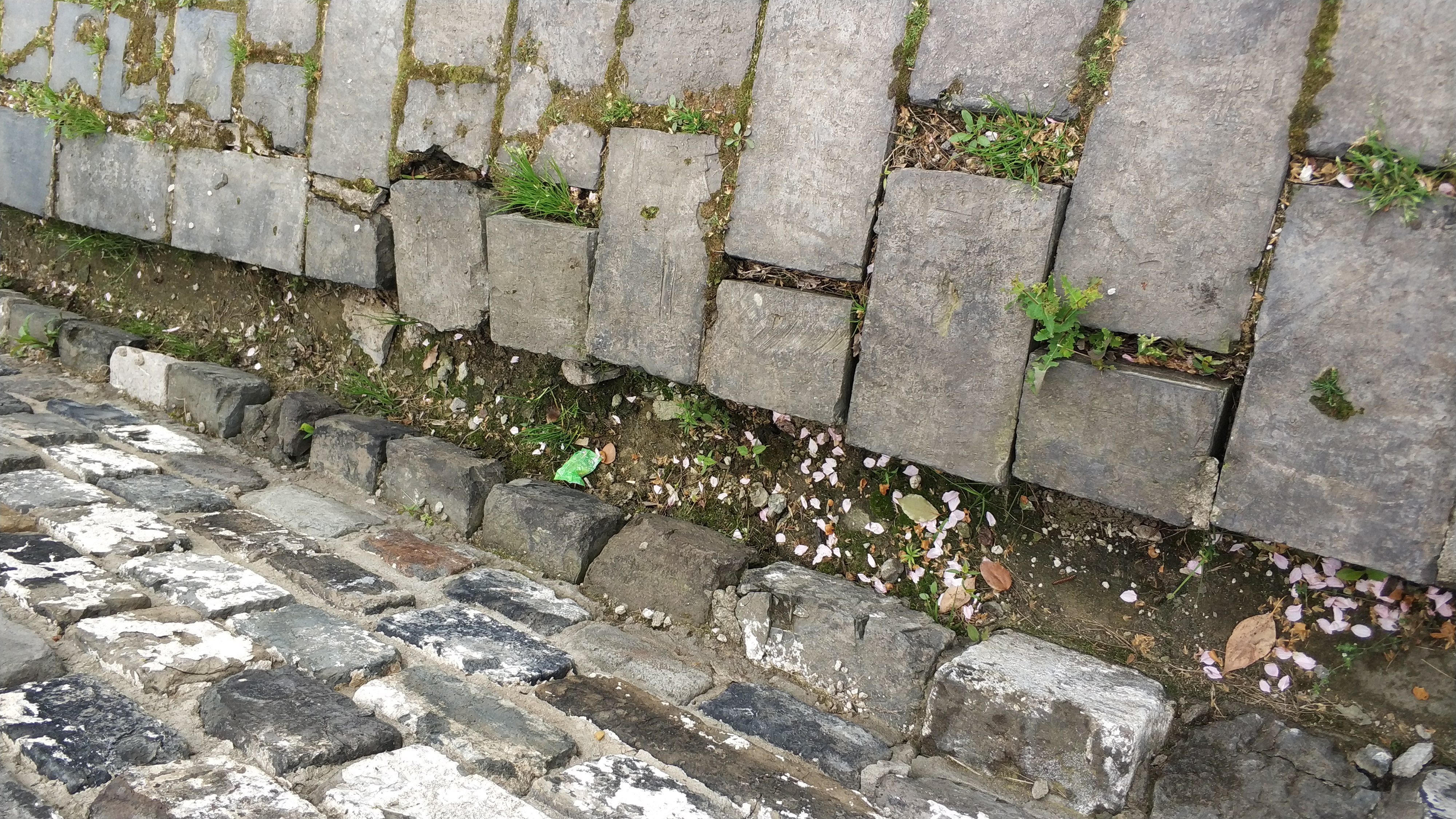 登金陵凤凰台李白其中有名的句子,登金陵凤凰台含着李白独特的句子