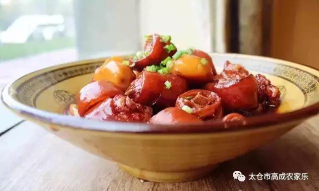 太仓浏河镇农家乐,苏州太仓高成农家乐