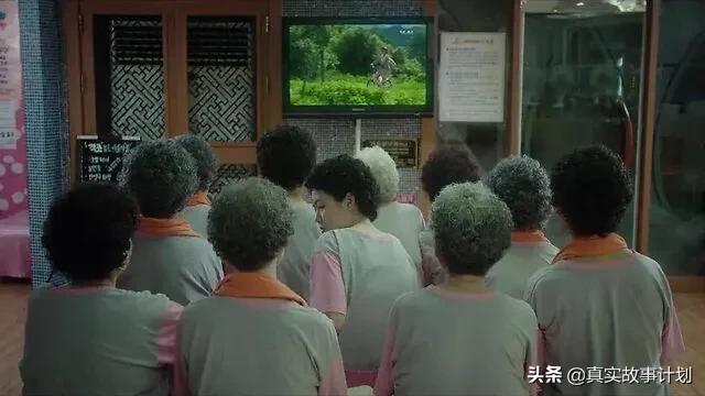 中老年追星族自述：退休后我开始追星，为偶像写科研论文投稿