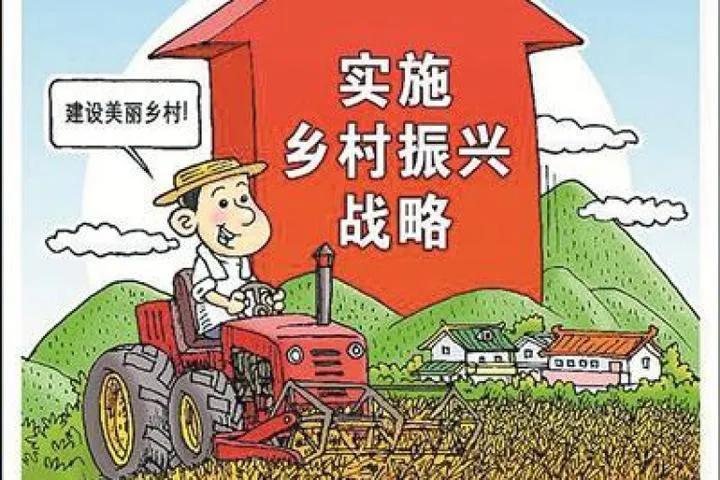 国家重视三农政策农民越来越幸福,农村三农自媒体扶持政策趋势