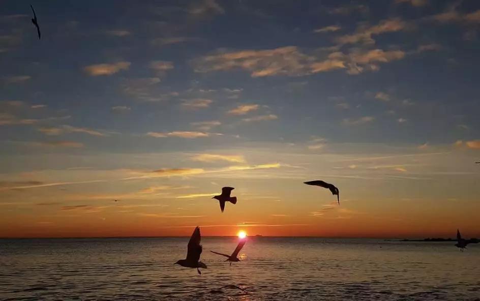 巴塞罗那有什么古老的灵魂,巴塞罗那有古老的回忆