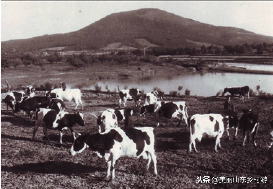 研学游第二十三期：济南佳宝，发现“老味道”的前世今生