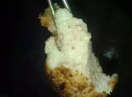 *疆新**也有很多“奇葩”的食物，有的看到反胃，有的念念不忘